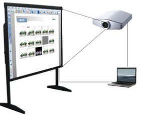 多媒体技术，点亮语文课堂——小学语文教学中交互式白板应用现状教师问卷分析